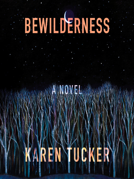 Cover image for Bewilderness
